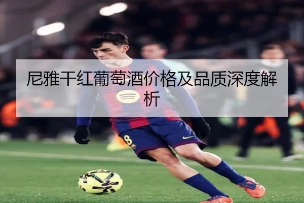 尼雅干红葡萄酒价格及品质深度解析